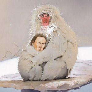 Meet your Posher, Robert